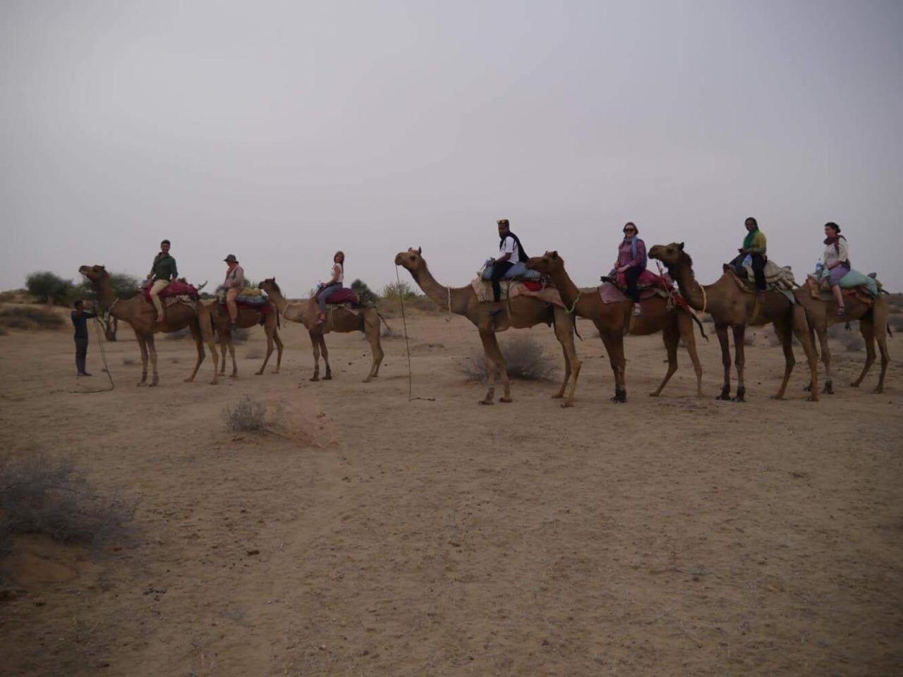 Sonal Desert Camp Jaisalmer 호텔 외부 사진
